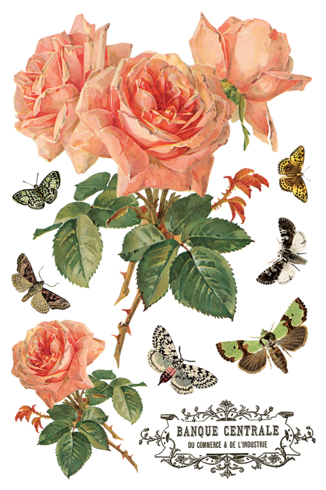 transfer-decorativ-iod-by-any-other-name-coperta.jpg [5]