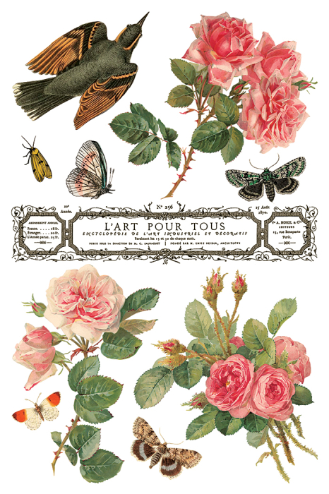 transfer-decorativ-iod-by-any-other-name-coperta.jpg [9]