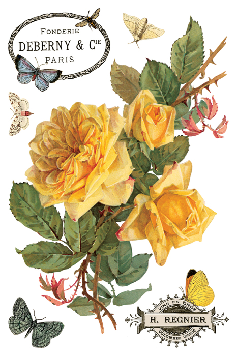 transfer-decorativ-iod-by-any-other-name-coperta.jpg [4]