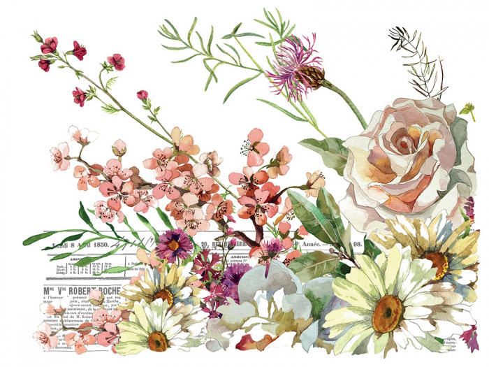 ELYSIUM – transfer decorativ – set de 4 pagini A3 [2]
