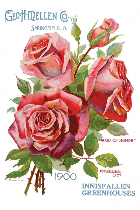 EPHEMERAL MELANGE transfer decorativ – set de 8 pagini A4 [3]