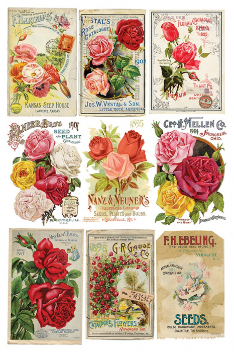 EPHEMERAL MELANGE transfer decorativ – set de 8 pagini A4 [9]