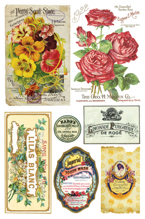 EPHEMERAL MELANGE transfer decorativ – set de 8 pagini A4 [8]