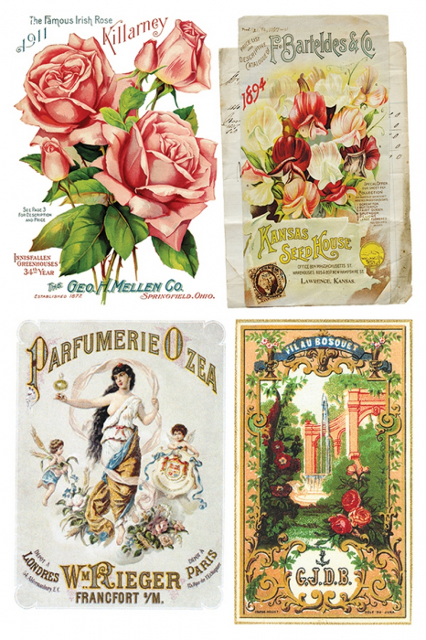 EPHEMERAL MELANGE transfer decorativ – set de 8 pagini A4 [10]