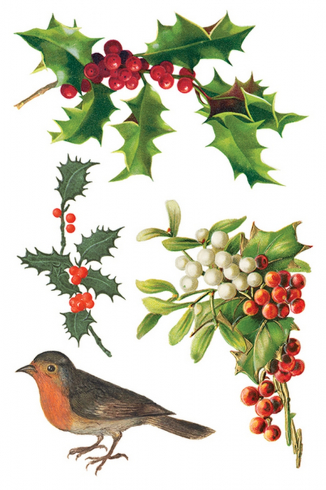 FIGGY PUDDING – transfer decorativ, set de 8 pagini A4 [8]
