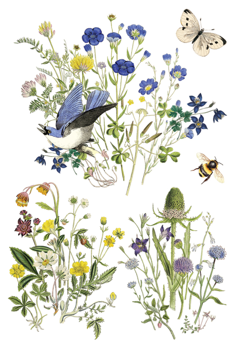 flora-greca-transfer-decorativ-iod-coperta.jpg [9]