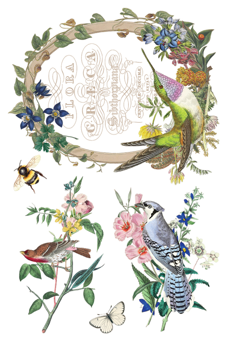 flora-greca-transfer-decorativ-iod-coperta.jpg [4]