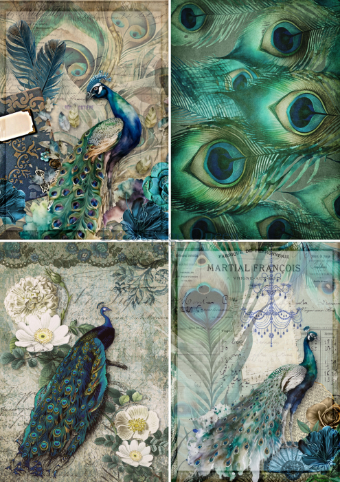 Hârtie de orez Peacock Four Pack [1]