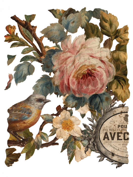 JOIE DES ROSES transfer decorativ – set de 8 pagini A3 [7]