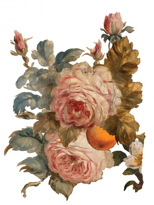 JOIE DES ROSES transfer decorativ – set de 8 pagini A3 [2]