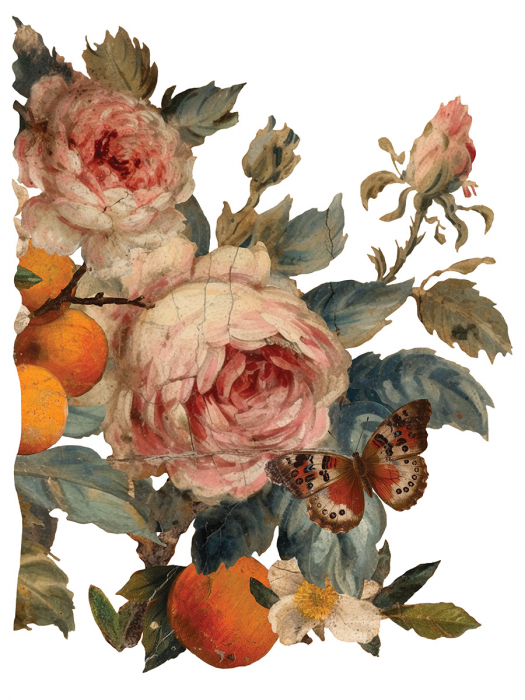 JOIE DES ROSES transfer decorativ – set de 8 pagini A3 [5]