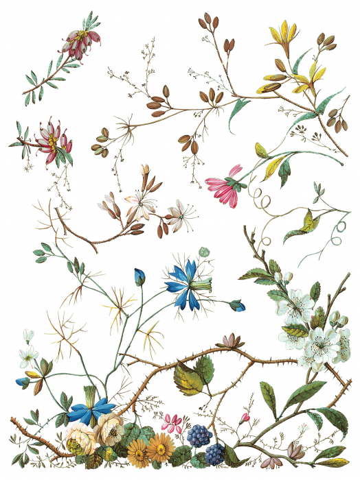 transfer-decorativ-lost-garden-iod - front [4]