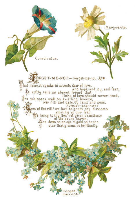 Transfer decorativ IOD "Lover of Flowers" – set de 8 pagini A4 cu design floral vintage [3]