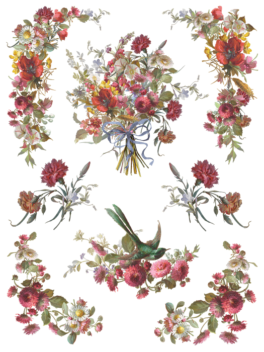 iod-transfer-madeleine-coperta.jpg [4]