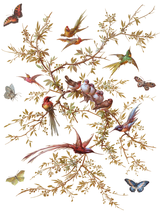 iod-transfer-madeleine-coperta.jpg [8]