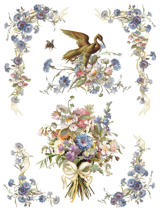 iod-transfer-madeleine-coperta.jpg [6]