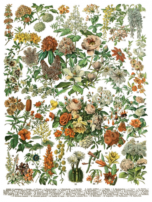 MILLOT S PAGES – transfer decorativ – set de 8 pagini A3 [4]