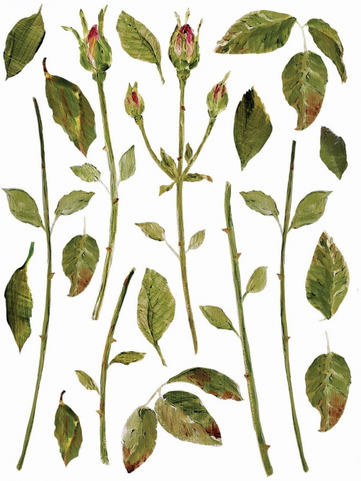 Transfer Decorativ PAINTERLY FLORALS - Set 8 Foi A3 pentru Mobilier și DIY [6]