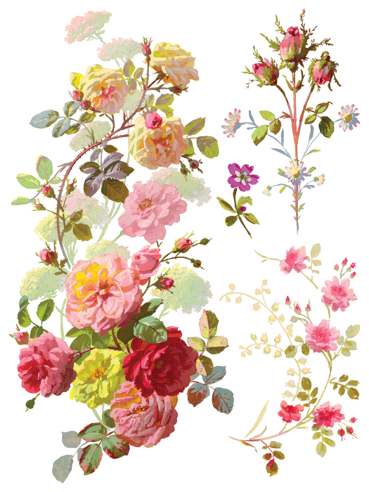 fleur-iod-transfer-saint-germain-front.jpg [2]