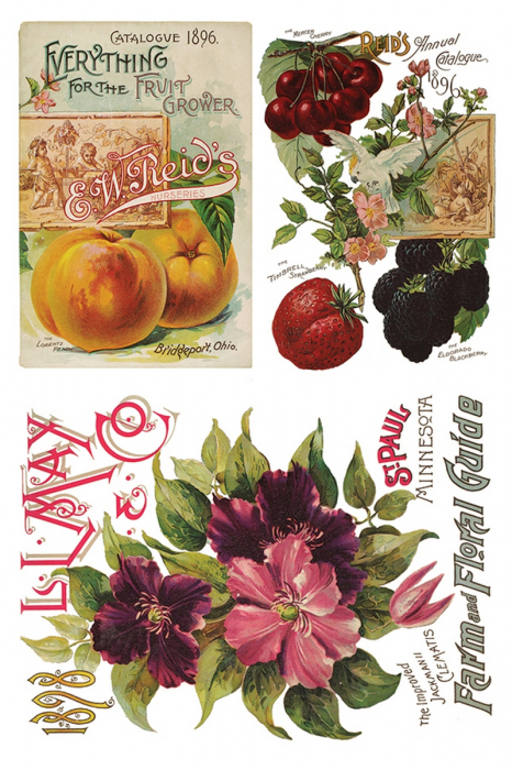 transfer-decorativ-SEED-set-8-foi-A4-mobilier-lemn-DIY-vintage-shabby-chic [3]