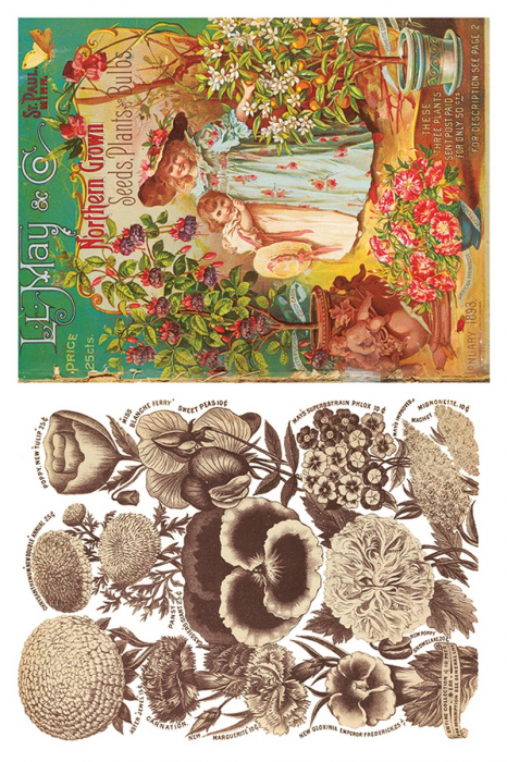 transfer-decorativ-SEED-set-8-foi-A4-mobilier-lemn-DIY-vintage-shabby-chic [7]