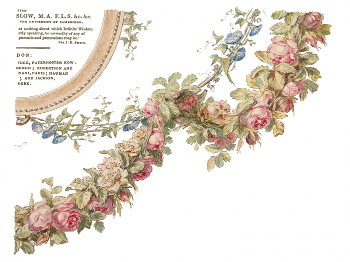 THE BOTANIST – transfer decorativ – set de 4 pagini A3 [6]