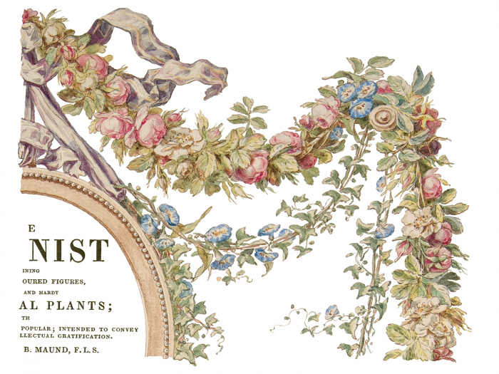 THE BOTANIST – transfer decorativ – set de 4 pagini A3 [4]