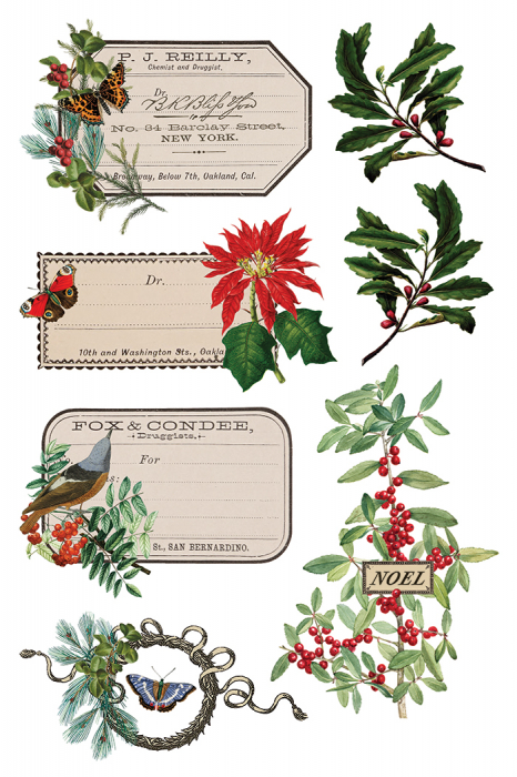 transfer-decorativ-iod-winter-botanist-coperta-fata.jpg [5]