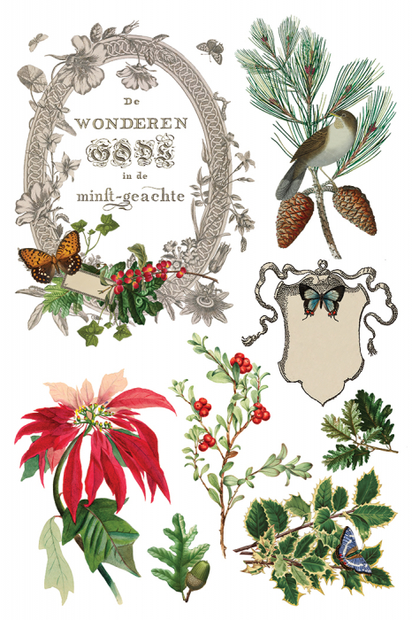 transfer-decorativ-iod-winter-botanist-coperta-fata.jpg [3]