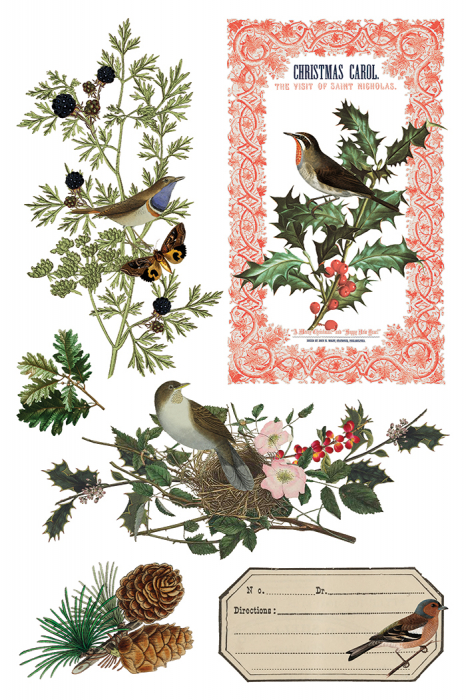 transfer-decorativ-iod-winter-botanist-coperta-fata.jpg [7]