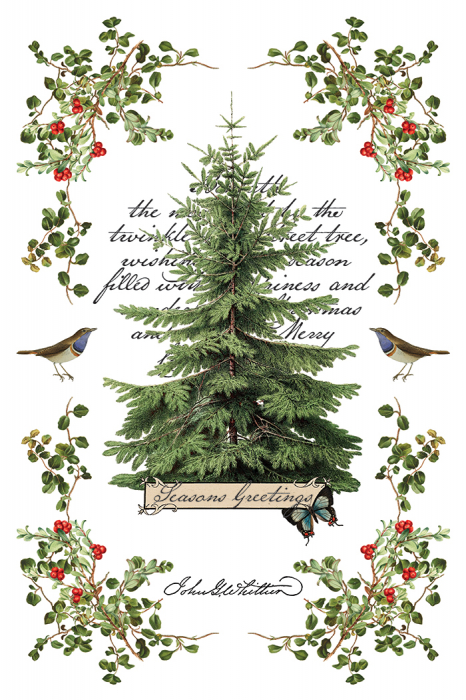 transfer-decorativ-iod-winter-botanist-coperta-fata.jpg [8]