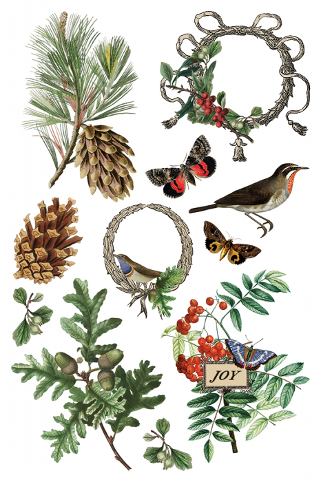 transfer-decorativ-iod-winter-botanist-coperta-fata.jpg [2]