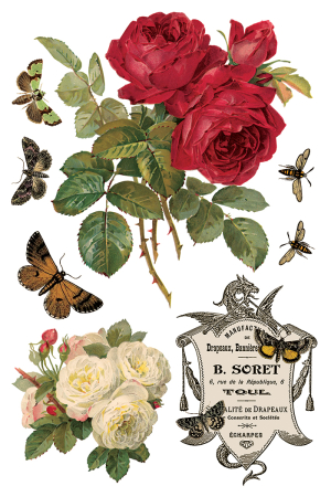 transfer-decorativ-iod-by-any-other-name-coperta.jpg [7]