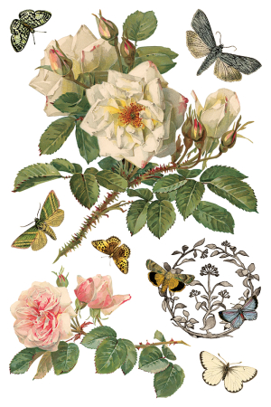 transfer-decorativ-iod-by-any-other-name-coperta.jpg [6]