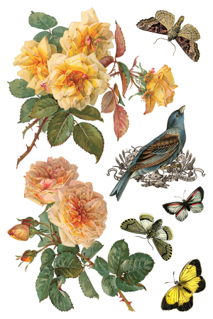 transfer-decorativ-iod-by-any-other-name-coperta.jpg [5]