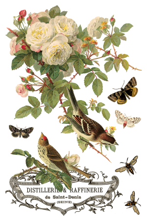 transfer-decorativ-iod-by-any-other-name-coperta.jpg [1]