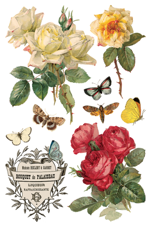 transfer-decorativ-iod-by-any-other-name-coperta.jpg [2]