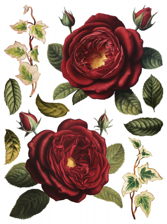 COLLAGE DE FLEURS transfer decorativ – set de 8 pagini A3 [7]