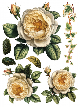 COLLAGE DE FLEURS transfer decorativ – set de 8 pagini A3 [4]