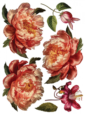 COLLAGE DE FLEURS transfer decorativ – set de 8 pagini A3 [6]