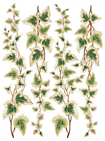 COLLAGE DE FLEURS transfer decorativ – set de 8 pagini A3 [1]