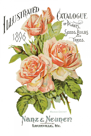 EPHEMERAL MELANGE transfer decorativ – set de 8 pagini A4 [3]