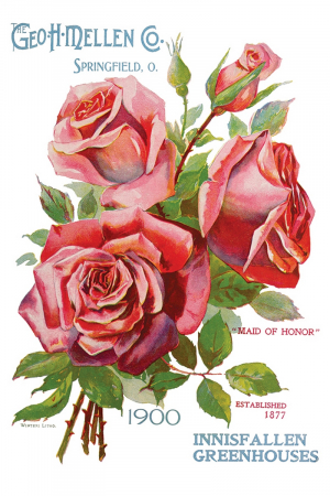 EPHEMERAL MELANGE transfer decorativ – set de 8 pagini A4 [2]