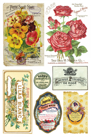 EPHEMERAL MELANGE transfer decorativ – set de 8 pagini A4 [7]