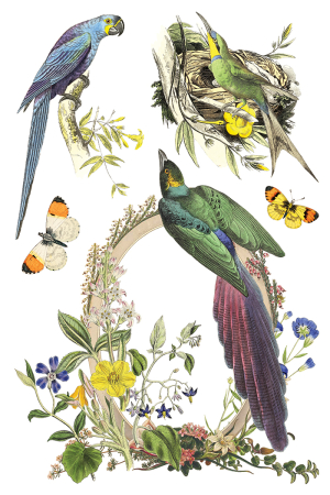 flora-greca-transfer-decorativ-iod-coperta.jpg [2]