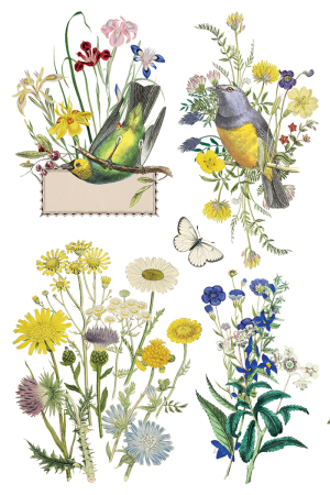 flora-greca-transfer-decorativ-iod-coperta.jpg [7]