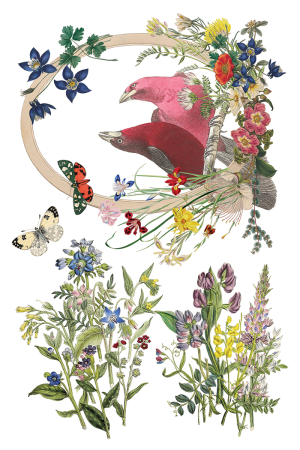 flora-greca-transfer-decorativ-iod-coperta.jpg [5]