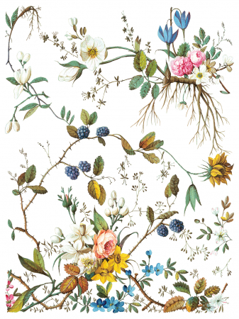 transfer-decorativ-lost-garden-iod - front [2]