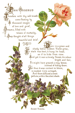 Transfer decorativ IOD "Lover of Flowers" – set de 8 pagini A4 cu design floral vintage [4]