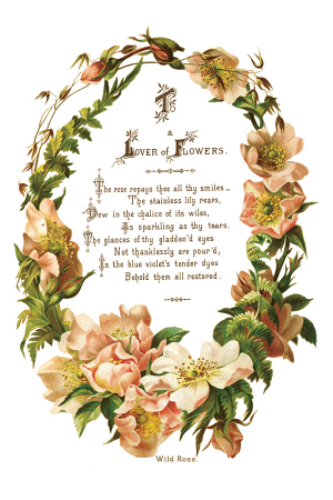 Transfer decorativ IOD "Lover of Flowers" – set de 8 pagini A4 cu design floral vintage [5]